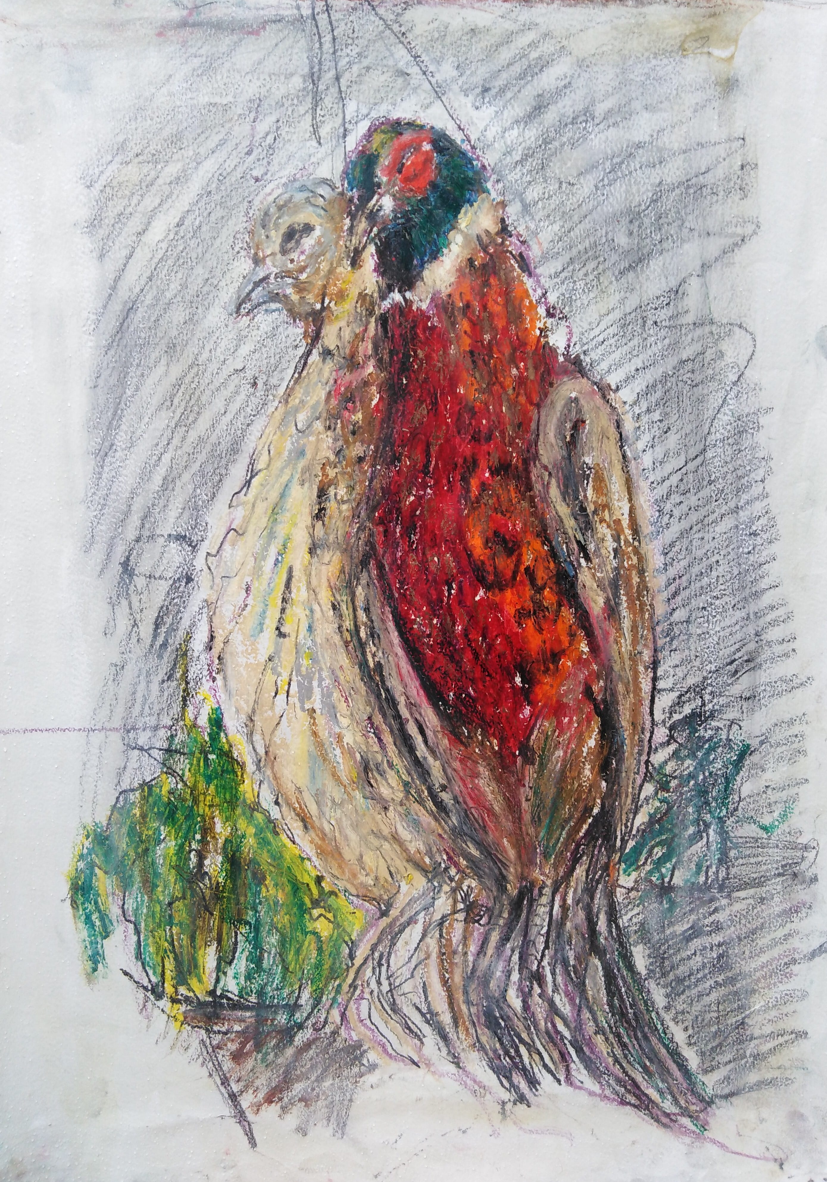 Picture: Pheasants, Oil bars, POA