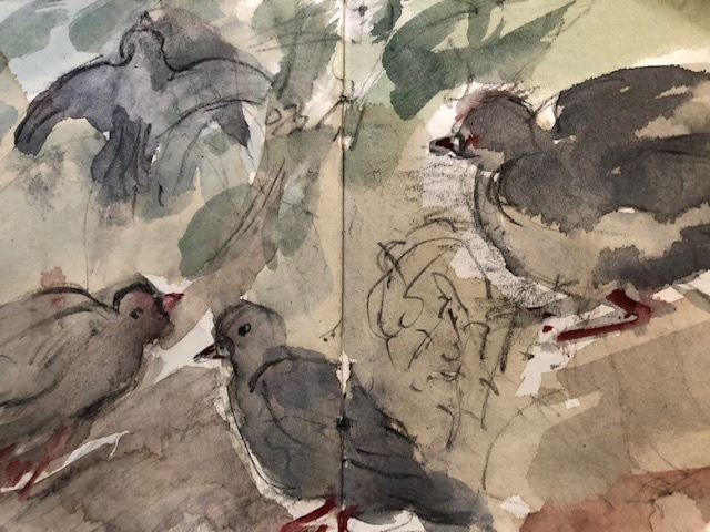 2am Pigeons, Watercolour and pencil