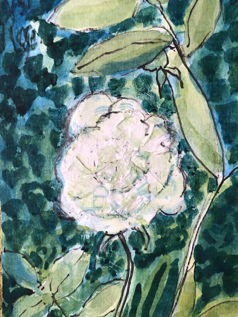 Rose, watercolour and collage, A5