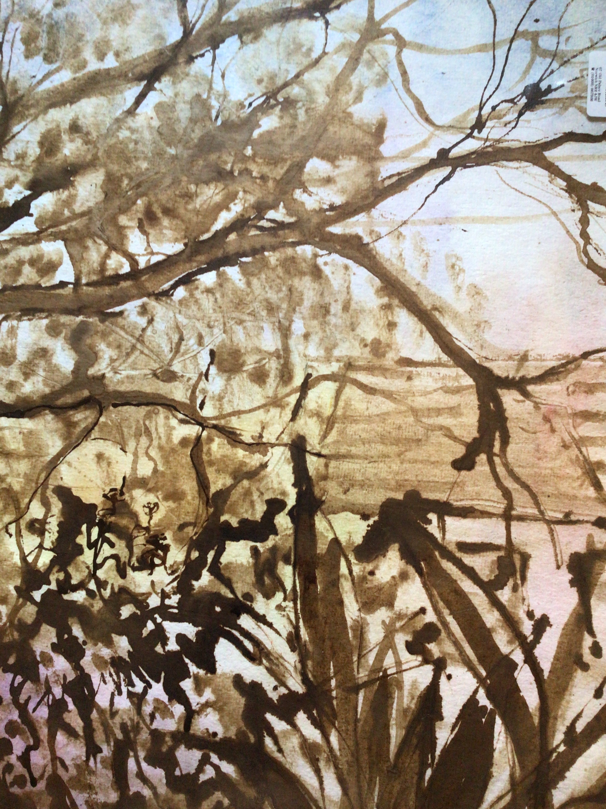 View through Front Window