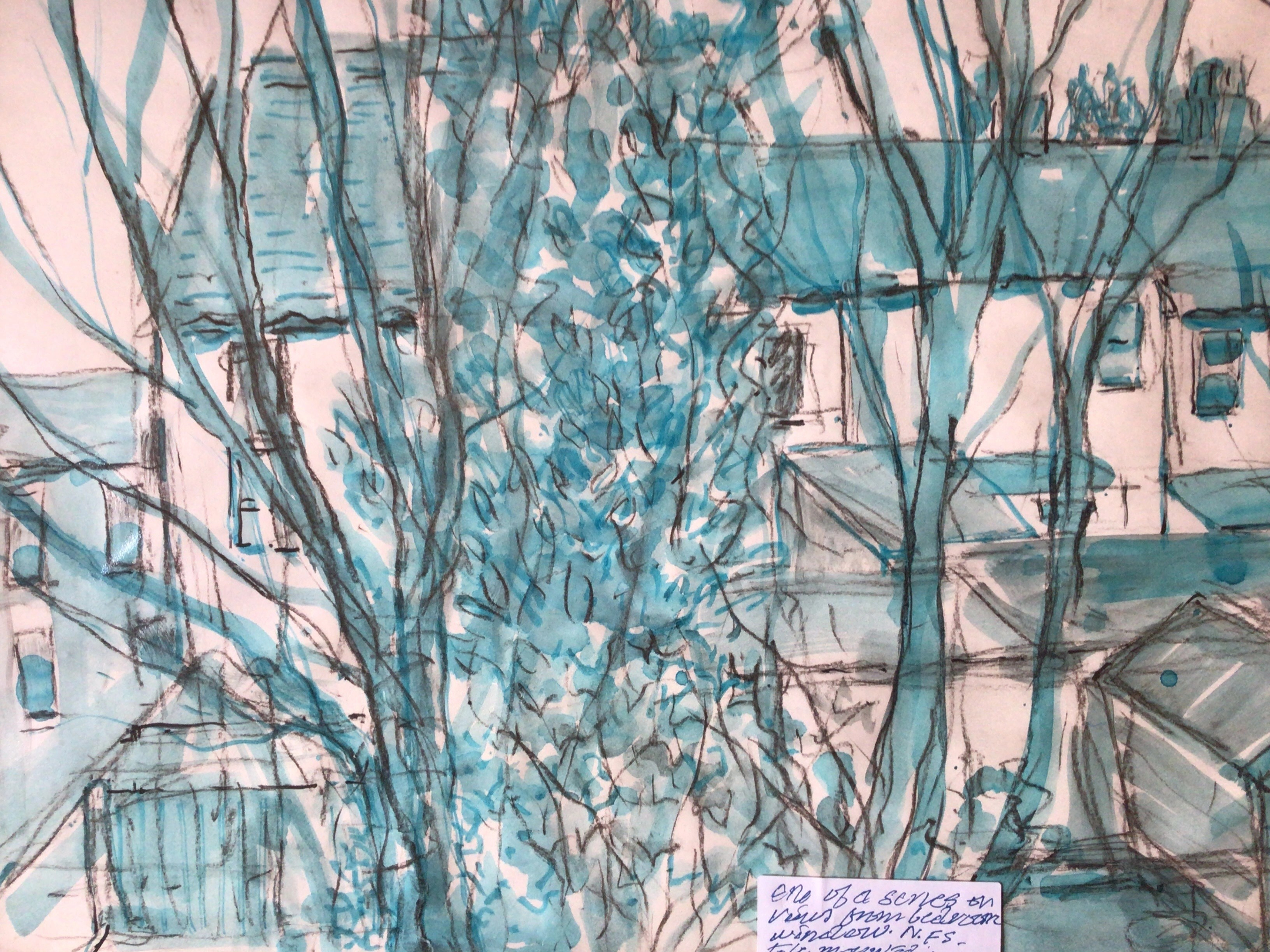 View from back window