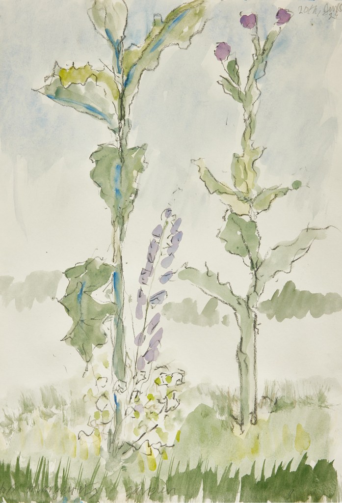 st Margarets churchyard norwich by Diana lamb