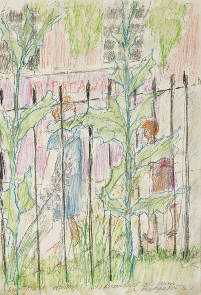 drawing by diana lamb artist